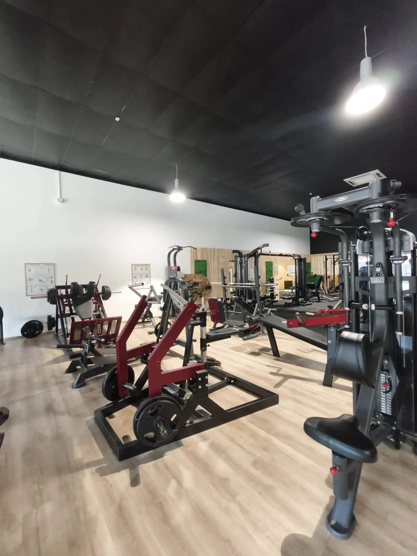 sportium-fitness-appareils-de-musculation-gerardmer
