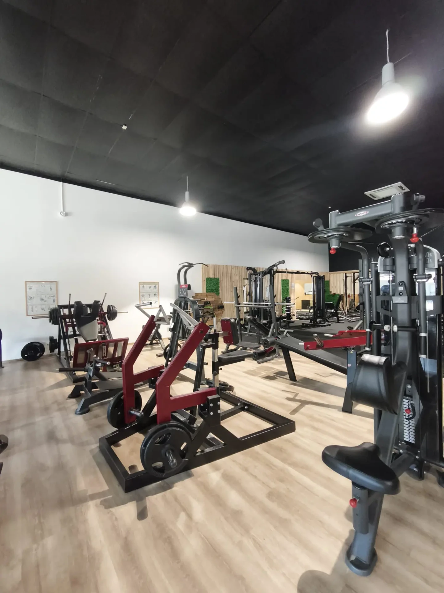 sportium-fitness-espace-force-musculaire-gerardmer