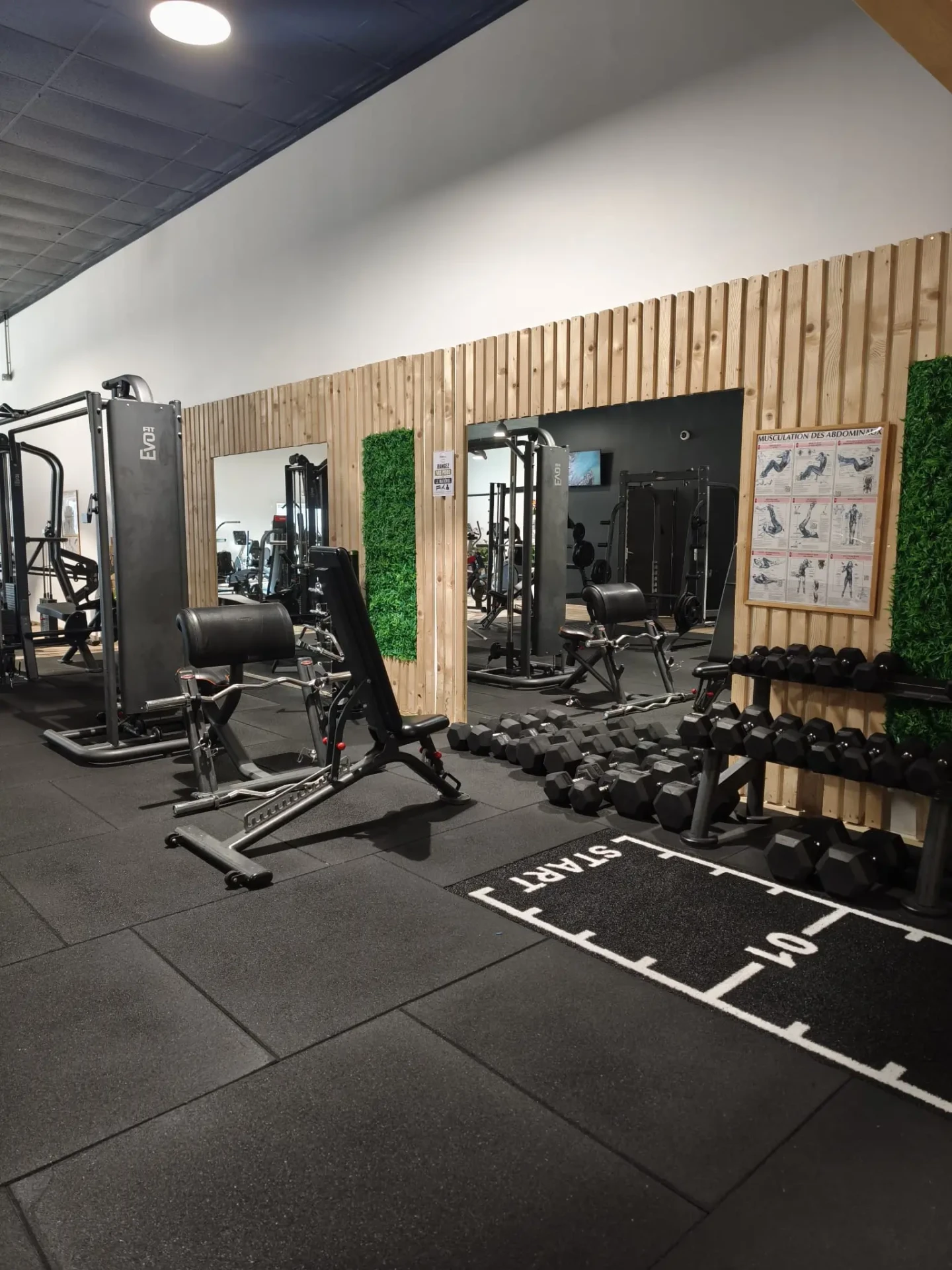 sportium-fitness-zone-developpements-musculaires