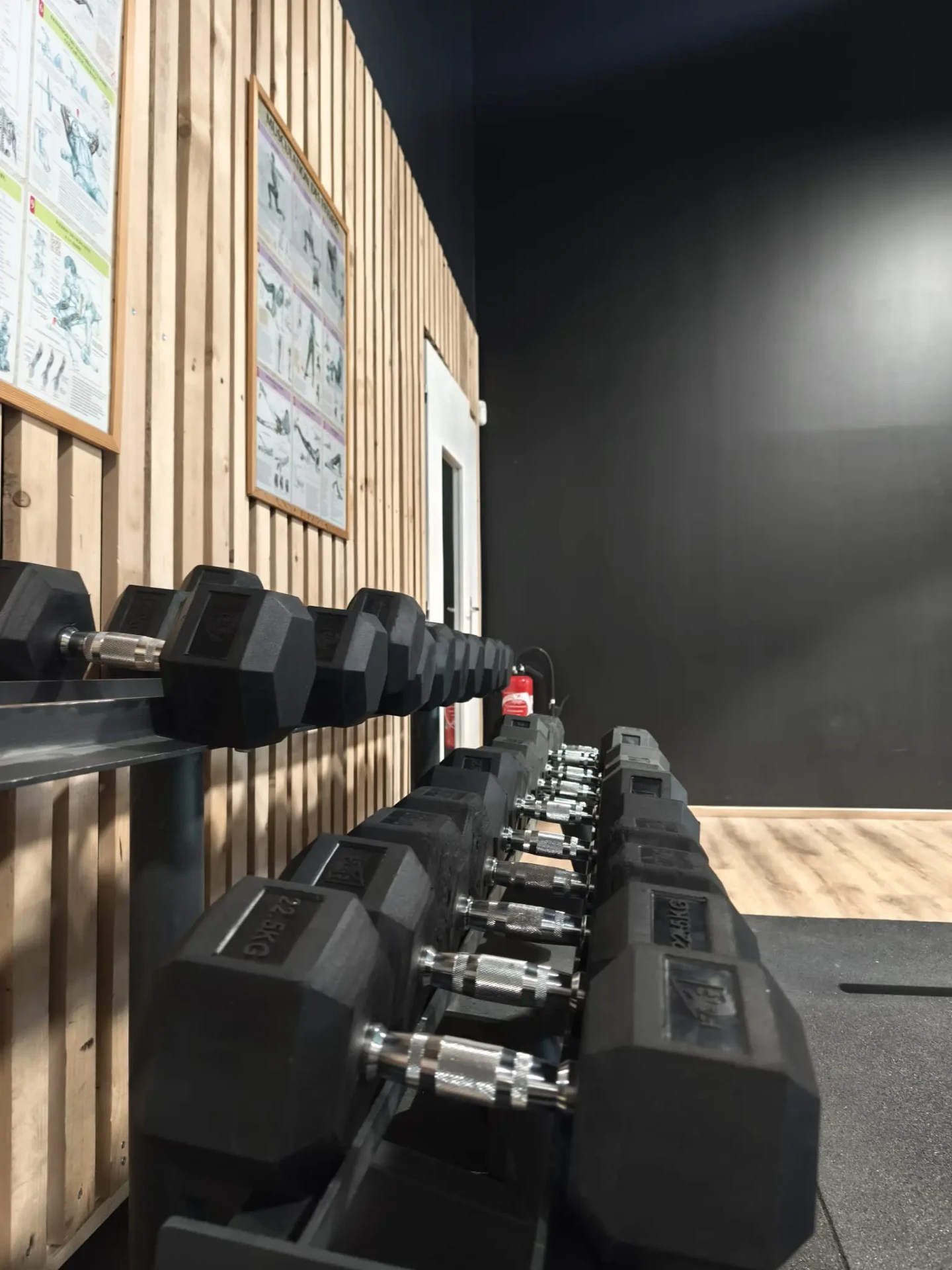 sportium-fitness-zone-poids-libres-vosges